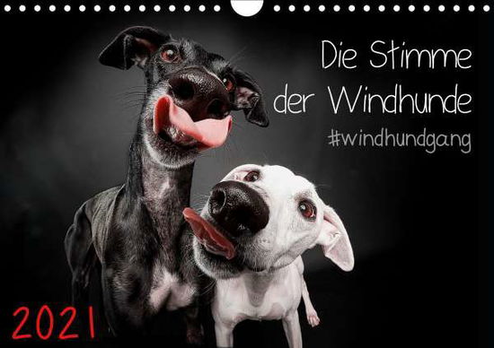 Cover for Gier · Die Stimme der Windhunde (Wandkale (Buch)