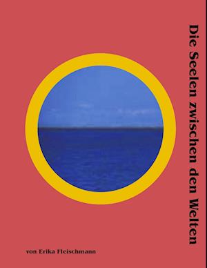 Cover for Erika Fleischmann · Die Seelen zwischen den Welten (Paperback Book) (2004)