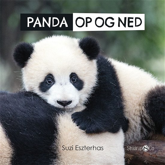 Cover for Suzi Eszterhas · Panda - Op og ned (Pappbok) [1. utgave] (2019)