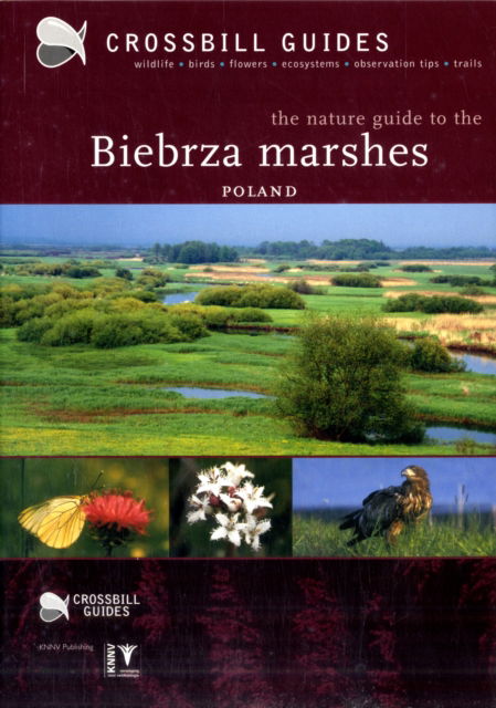 Cover for Dirk Hilbers · The Nature Guide to the Biebrza Marshes - Poland - Crossbill Guides (Paperback Book) (2005)