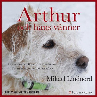 Cover for Val Hudson Mikael Lindnord · Arthur och hans vänner : och andra berättelser om hundar som fått människor att hitta sig själva (Audiobook (MP3)) (2017)