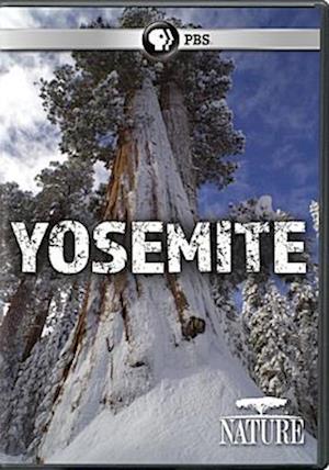 Cover for Nature: Yosemite (DVD) (2017)