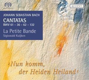 Cantatas Vol 9 Accent Klassisk - Diverse / La Petite Bande / Kuijken S - Musiikki - DAN - 4015023253094 - torstai 3. joulukuuta 2009