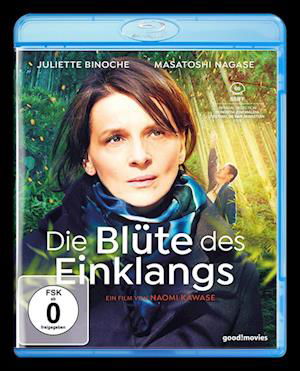 Cover for Juliette Binoche · Die Blüte Des Einklangs (Blu-ray) (2019)