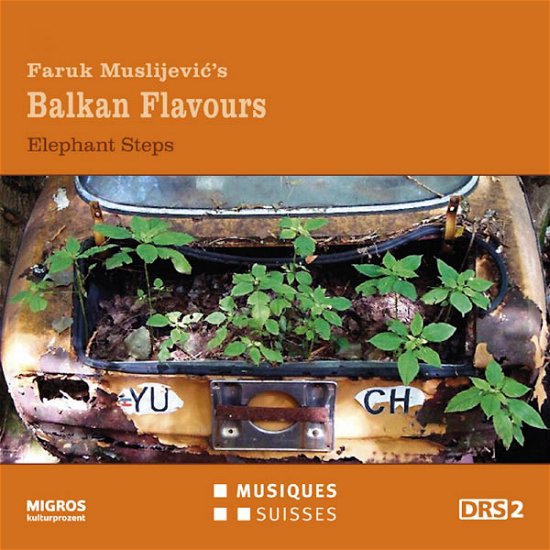 Cover for Faruk Muslijevic · Balkan Flavours / Elephant Steps (CD) (2012)