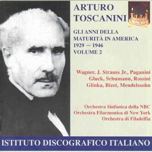 Orchestral Music - Bizet / Glinka - Musikk - IDIS - 8021945000094 - 2009