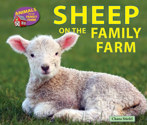 Cover for Chana Stiefel · Sheep on the Family Farm (Animals on the Family Farm) (Hardcover Book) (2013)