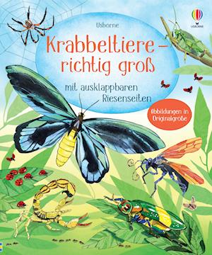 Cover for Krabbeltiere · Richtig GroÃŸ (Book)