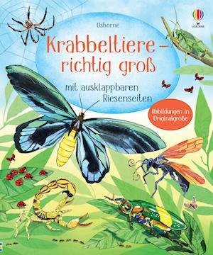 Cover for Krabbeltiere · Richtig GroÃŸ (Bog)