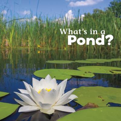 What's in a Pond? - What's In There? - Martha E. H. Rustad - Books - Capstone Global Library Ltd - 9781474706094 - November 3, 2016