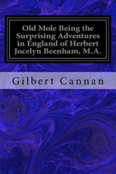 Cover for Gilbert Cannan · Old Mole Being the Surprising Adventures in England of Herbert Jocelyn Beenham, M.A. (Paperback Book) (2016)