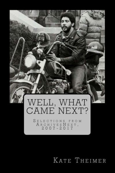 Cover for Kate Theimer · Well, What Came Next? (Paperback Book) (2017)