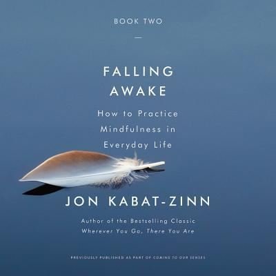 Cover for Jon Kabat-Zinn · Falling Awake Lib/E (CD) (2018)