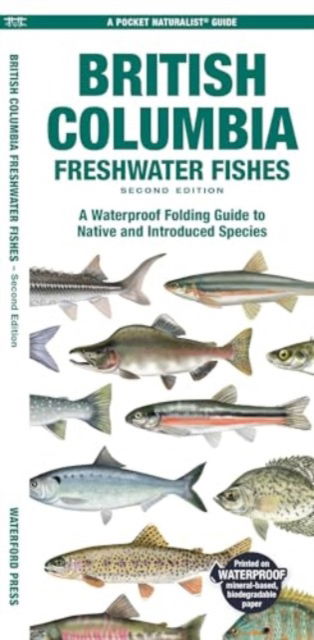 Cover for Morris, Matthew, Waterford Press · British Columbia Freshwater Fishes: A Folding Guide to Native and Introduced Species - Pocket Naturalist Guide (Pamphlet) [2nd edition] (2024)