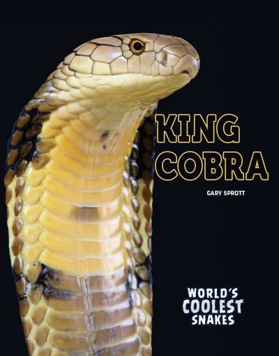 King Cobra - Gary Sprott - Books - Rourke Educational Media - 9781641566094 - July 1, 2018