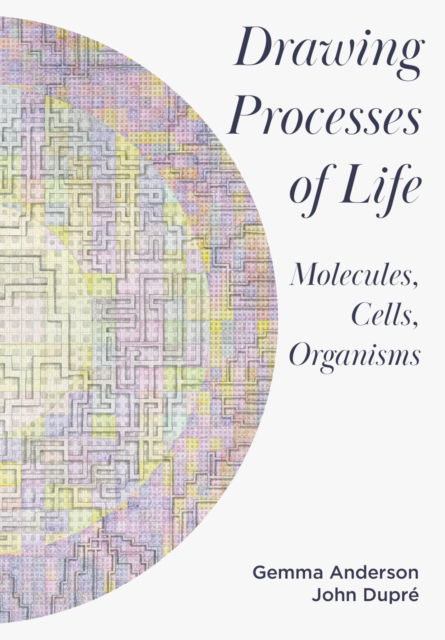 Cover for Gemma Anderson-Tempini · Drawing Processes of Life: Molecules, Cells, Organisms (Hardcover Book) (2023)