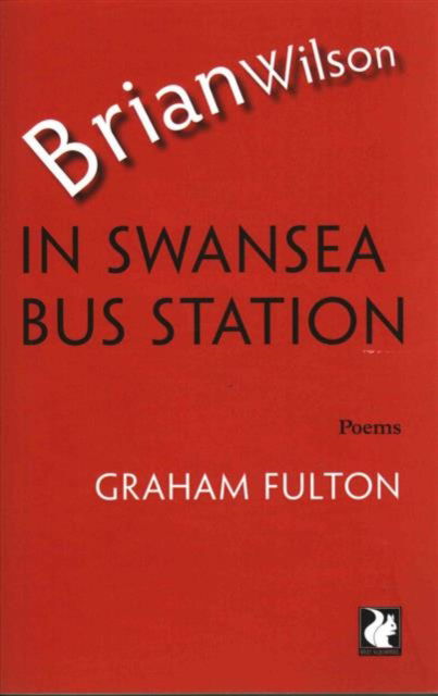 Cover for Graham Fulton · Brian Wilson in Swansea Bus Station (Paperback Book) (2015)