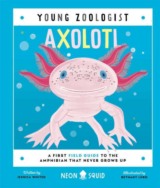 Axolotl (Young Zoologist): A First Field Guide to the Amphibian That Never Grows Up - Young Zoologist - Jessica L. Whited - Książki - Priddy Books - 9781916745094 - 3 października 2024