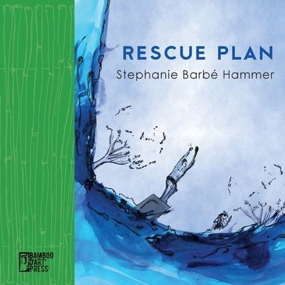 Cover for Stephanie Barbe Hammer · Rescue Plan (Paperback Book) (2021)