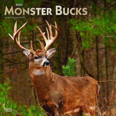 Cover for Browntrout · Monster Bucks 2023 Square Foil (Calendar) (2022)