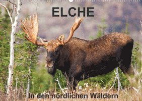 Cover for Philippe Henry · ELCHE In den nördlichen Wäldern (Wandkalender 2022 DIN A2 quer) (Calendar) (2021)