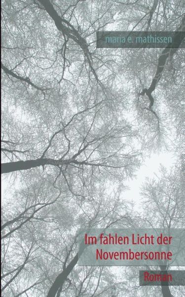 Cover for Maria E. Mathissen · Im Fahlen Licht Der Novembersonne (Paperback Book) [German edition] (2013)