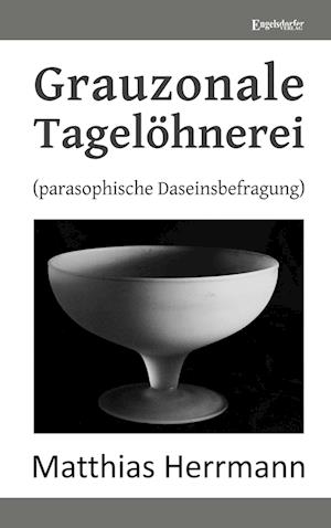 Cover for Matthias Herrmann · Grauzonale Tagelöhnerei (Book) (2024)