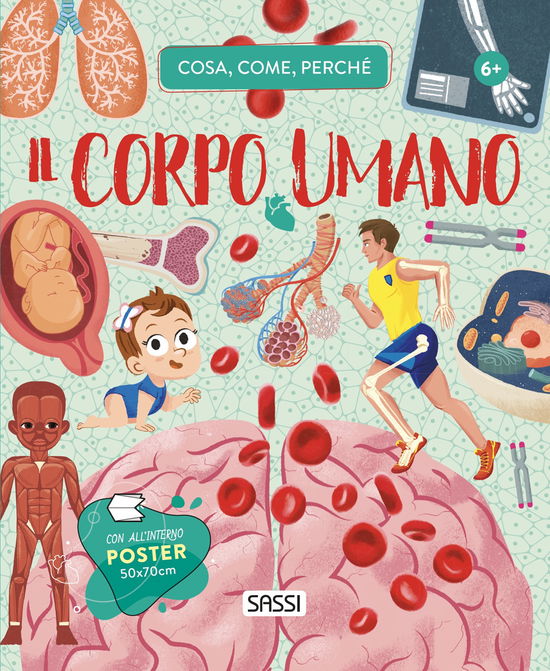 Cover for Irena Trevisan · Il Corpo Umano. Cosa, Come, Perche. Con Poster (Book)