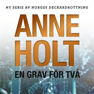 Cover for Anne Holt · Selma Falck: En grav för två (Lydbog (MP3)) (2019)