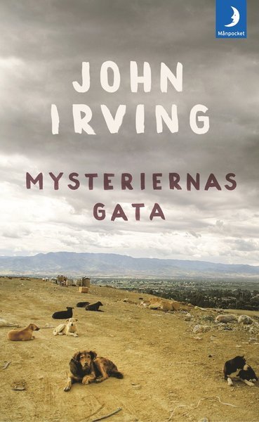 Cover for John Irving · Mysteriernas gata (Paperback Book) (2018)