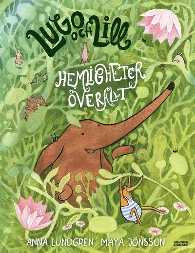 Cover for Anna Lundgren · Hemligheter överallt (Hardcover Book) (2023)