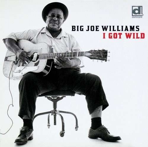 Cover for Big Joe Williams · I Got Wild (CD) [Japan Import edition] (2014)