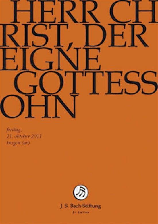 Cover for J.S. Bach-Stiftung / Lutz,Rudolf · Herr Christ, Der Einge Gottessohn (DVD) (2014)