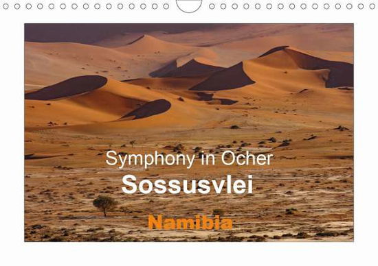 Cover for Seidl · Symphony in Ocher.Sossusvlei.Nami (Book)