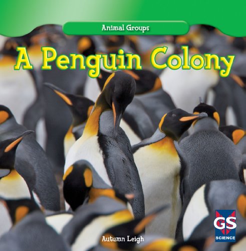 Cover for Autumn Leigh · A Penguin Colony (Animal Groups) (Hardcover Book) (2013)