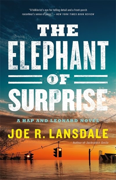 Cover for Joe R. Lansdale · The Elephant of Surprise (Paperback Book) (2019)