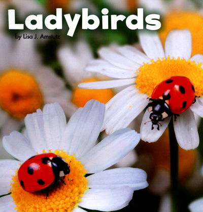 Cover for Lisa J. Amstutz · Ladybirds (N/A) (2017)