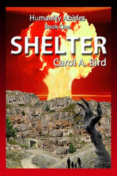 Cover for Carol a Bird · Shelter (Paperback Book) (2013)