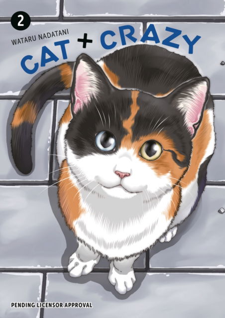 Cover for Wataru Nadatani · Cat + Crazy Volume 2 (Paperback Book) (2025)