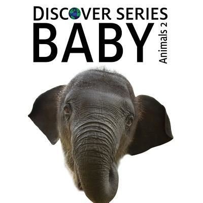 Baby Animals 2 - Xist Publishing - Books - Xist Publishing - 9781623950095 - July 25, 2012