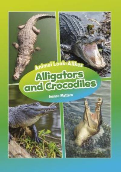 Cover for Joanne Mattern · Alligators and Crocodiles (Book) (2018)