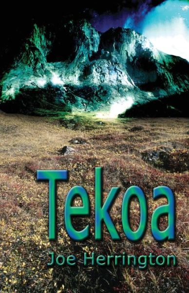 Tekoa - Joe Herrington - Books - Gatekeeper Press - 9781662924095 - June 4, 2022