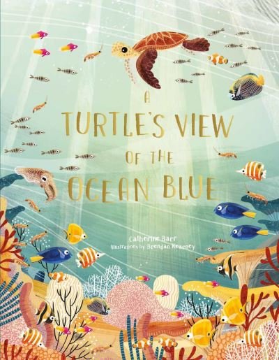 Cover for Catherine Barr · A Turtle's View of the Ocean Blue (Gebundenes Buch) (2021)