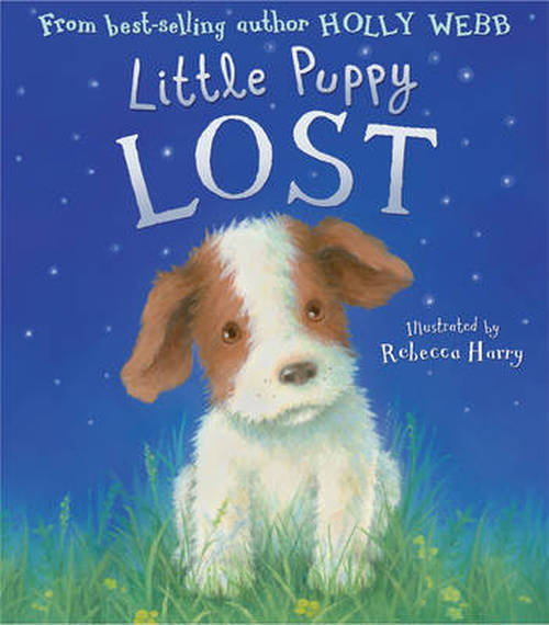 Cover for Holly Webb · Little Puppy Lost (Hardcover Book) [UK edition] (2014)