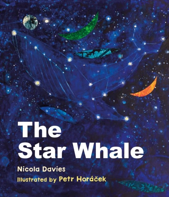 Cover for Nicola Davies · The Star Whale (Gebundenes Buch) (2023)