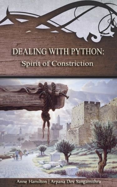 Cover for Anne Hamilton · Dealing with Python (Pocketbok) (2017)