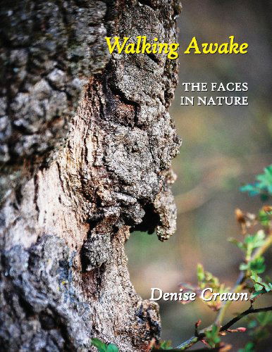 Cover for Denise Crawn · Walking Awake: the Faces in Nature (Paperback Book) (2013)