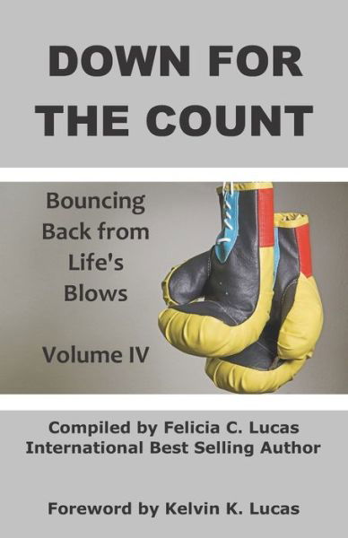 Cover for Stephanie V Barnes · Down for the Count (Paperback Book) (2020)