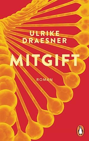 Cover for Ulrike Draesner · Mitgift (Bok) (2024)