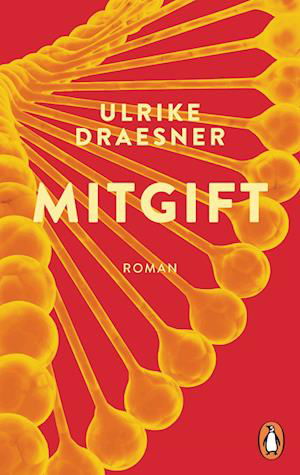 Cover for Ulrike Draesner · Mitgift (Buch) (2024)